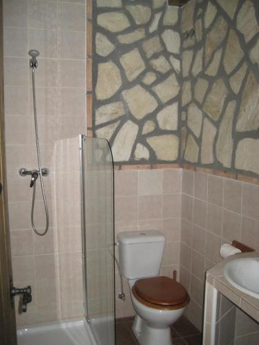 a bathroom with a shower and a toilet and a sink at Posada de los Cónsules in Consuegra