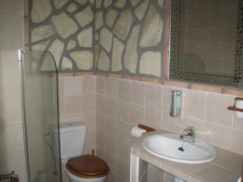 a bathroom with a toilet and a sink and a mirror at Posada de los Cónsules in Consuegra