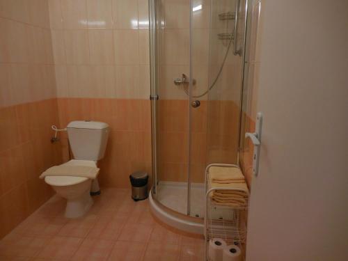 a small bathroom with a shower and a toilet at Penzion Tisuvka in Cikháj