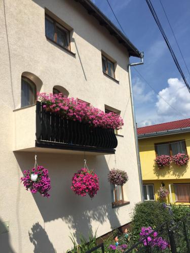 a building with flower boxes on the side of it at Pensiunea Alecsandra in Vatra Dornei
