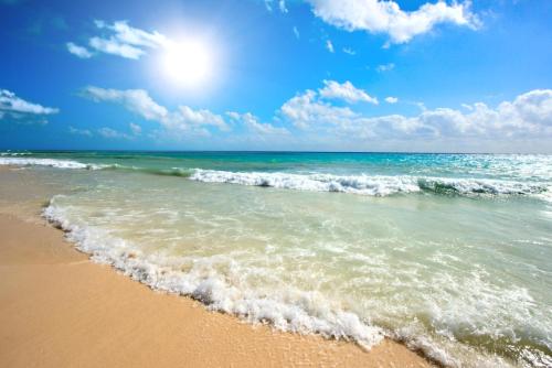 a view of the beach with the ocean at Glunz Ocean Beach Hotel and Resort in Marathon