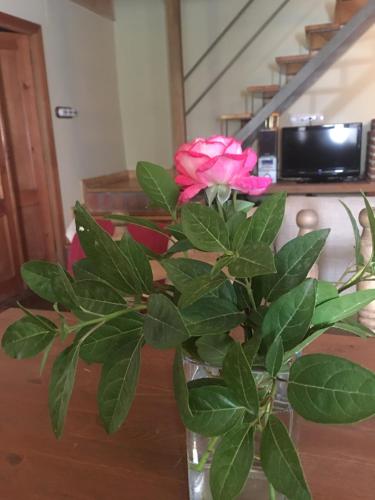 a vase with a pink rose on a table at Casa Rural Jim Morrison in Linares de Riofrío