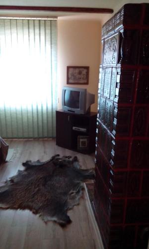 a living room with a tv and a rug at Casa Cosmin in Dobra