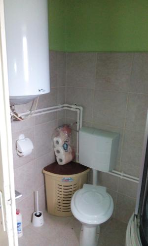 a small bathroom with a toilet and a cabinet at Casa Cosmin in Dobra