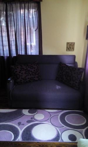 a couch sitting in a living room with a rug at Casa Cosmin in Dobra