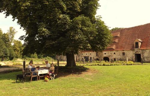 a group of people sitting at a table under a tree at Studniska Country Estate in Studniska