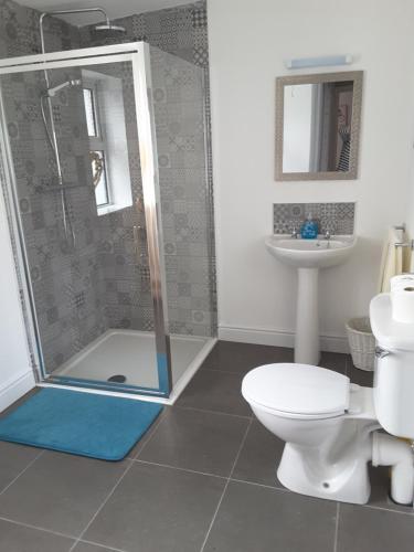 uma casa de banho com um chuveiro, um WC e um lavatório. em Island View Lodge em Doolin