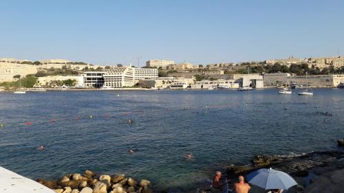 a group of people swimming in a body of water at Sharel in Msida
