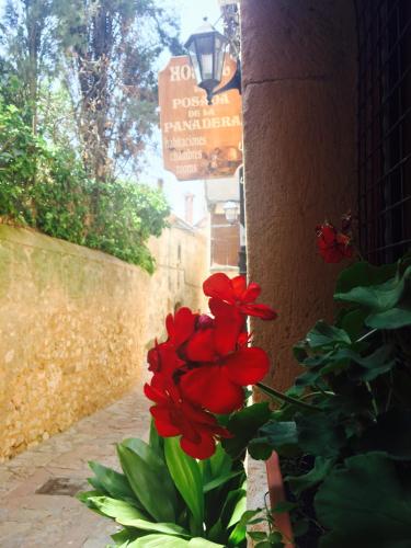 a plant with red flowers next to a wall at Hostal Posada La Panadera in Sepúlveda