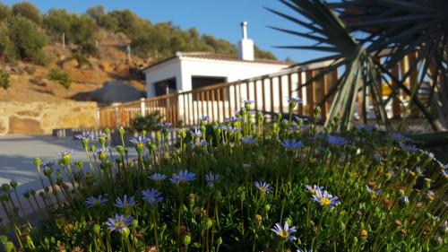 a garden with blue flowers in front of a house at Villa Rural El Mirador in Alora