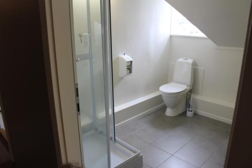 a bathroom with a toilet and a glass shower at North Star Guesthouse Olafsvik in Ólafsvík