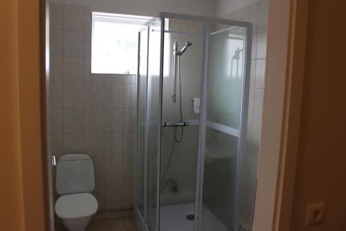 a bathroom with a glass shower with a toilet at North Star Guesthouse Olafsvik in Ólafsvík
