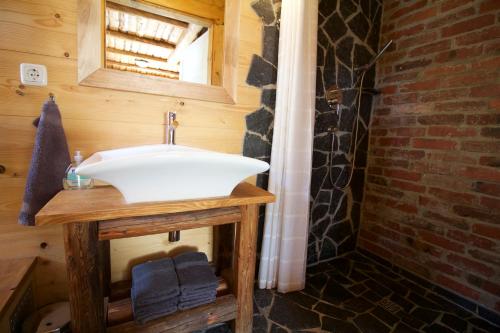 La salle de bains est pourvue d'un lavabo et d'un mur en briques. dans l'établissement Fw. Glashütte Anno Dazumal, à Klingenthal