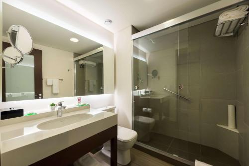 La salle de bains est pourvue d'un lavabo, de toilettes et d'une douche. dans l'établissement Hyatt Place Sao Jose do Rio Preto, à Sao Jose do Rio Preto