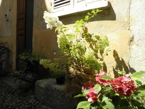 a bunch of flowers in front of a window at Al vicolo del Gallo in Varallo