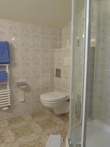 a bathroom with a toilet and a shower at Gastwirtschaft & Hotel Holzinger in Möllersdorf