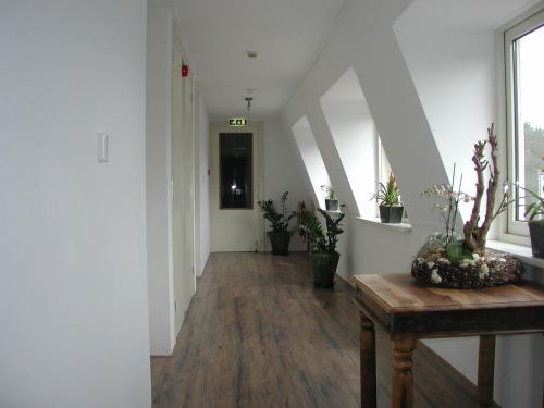 Φωτογραφία από το άλμπουμ του Hotel Studio Bosch Duin Strand σε Den Helder