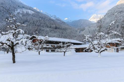 a snow covered building with trees and mountains in the background at Frühstückspension Müllergut in Sankt Martin bei Lofer
