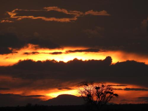 a sunset with clouds and a tree in the foreground at Rock and Sea Resort in Watamu