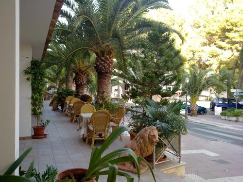Fotografie z fotogalerie ubytování Hostal Leo d'Or v destinaci Cala d´Or