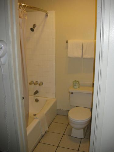 a bathroom with a toilet and a tub and a sink at Musicland Hotel in Palm Springs