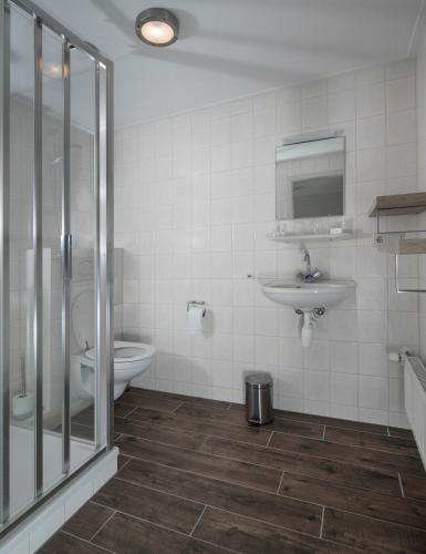 a bathroom with a shower and a sink and a toilet at Wellnesshotel Spabron in Wachtum
