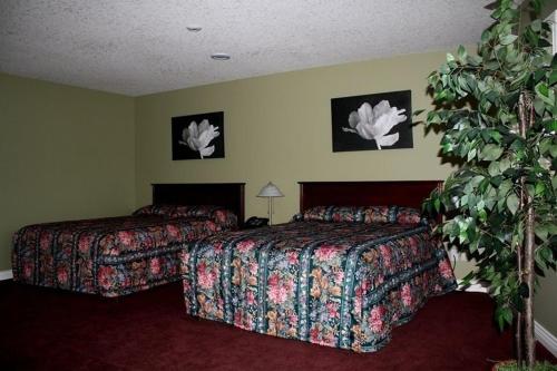a hotel room with two beds and a plant at Ciliegia Villa in Osoyoos