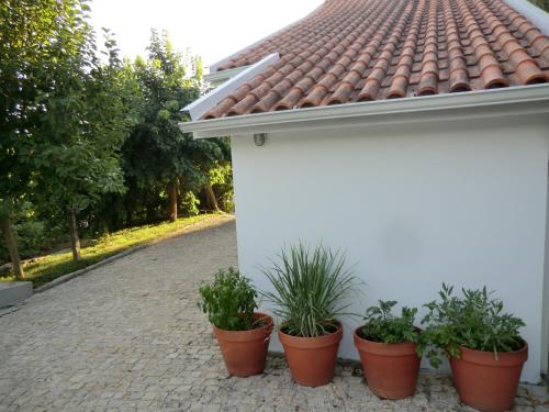 a row of potted plants on the side of a house at VianasHome in Amarante