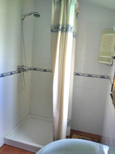 a bathroom with a shower with a tub at Callejon de la Vega in Ríocaliente