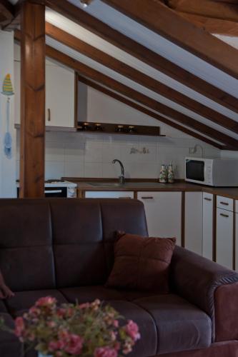 a living room with a couch and a kitchen at Kamares House Apartments & Studios in Vourvourou