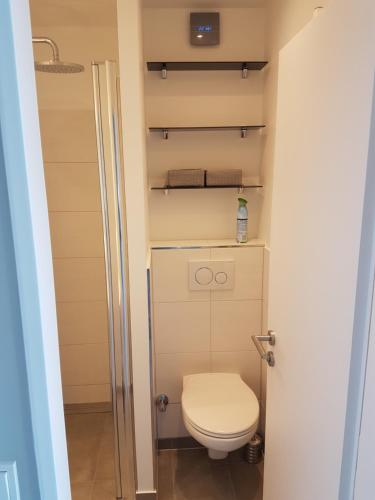ヴェスターラントにあるAppartment Wilhelmstrasseの小さなバスルーム(トイレ付)が備わります。