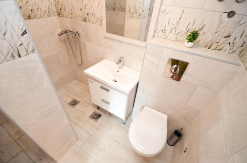 a bathroom with a toilet and a sink and a shower at Guesthouse Grotta Di Nicola in Kotor