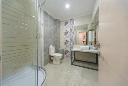 a bathroom with a toilet and a sink and a shower at Basseynaya Apart Hotel in Kyiv