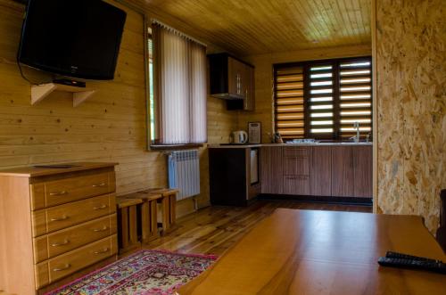 a living room with a television and a kitchen at Svitlana in Tatariv