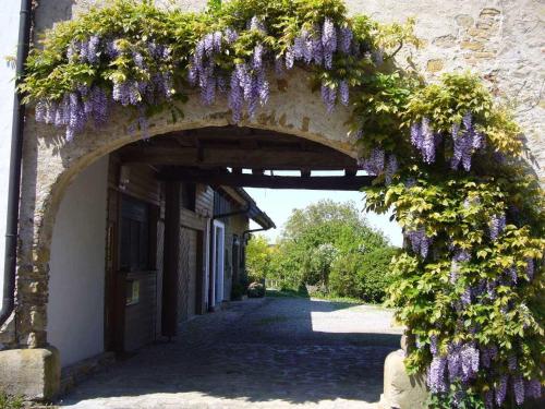 um arco com flores roxas num edifício em Silvia Krafts Bed and Breakfast em Schallstadt