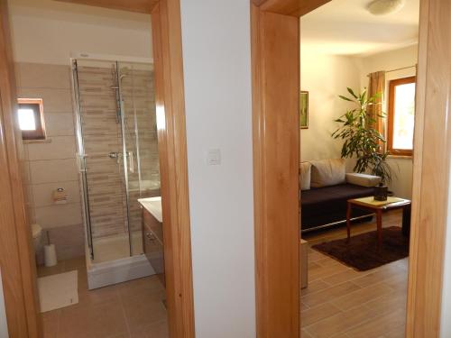 a bathroom with a shower and a couch in a room at Apartments Oltari in Sveti Juraj