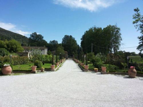 a driveway with potted plants on the sides of it at Relais Villa Poschi in Pugnano