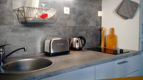 Il comprend une cuisine équipée d'un évier et d'un grille-pain. dans l'établissement Studio Lille-Republique, à Lille