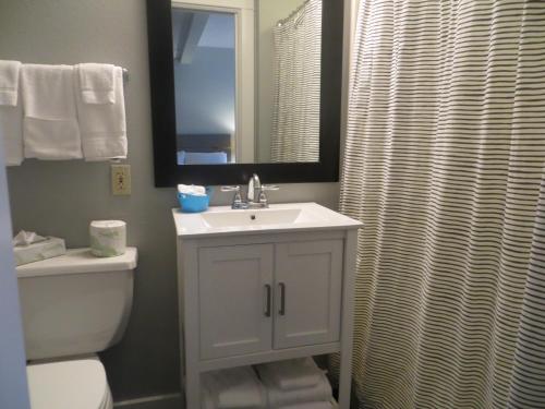 a bathroom with a sink and a toilet and a mirror at Brio Beach Inn in Traverse City