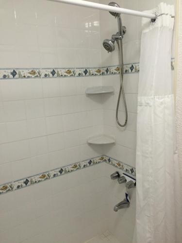 a bathroom with a shower with a shower curtain at Bay View in St Thomas