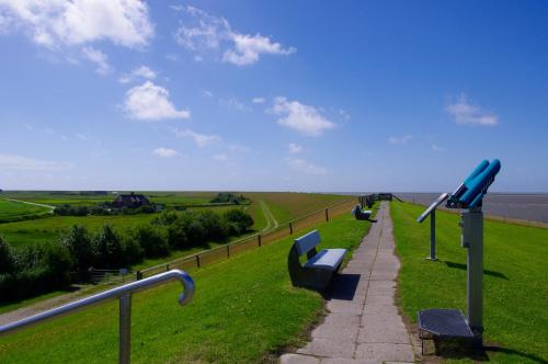 a row of benches on a grassy hill with the ocean at Wiesenblick in Pellworm