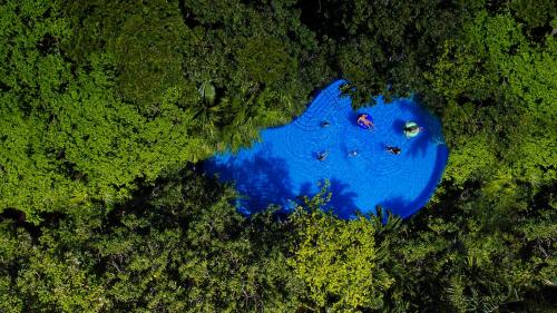 an overhead view of a blue lake in a forest at Occidental at Xcaret Destination - All Inclusive in Playa del Carmen