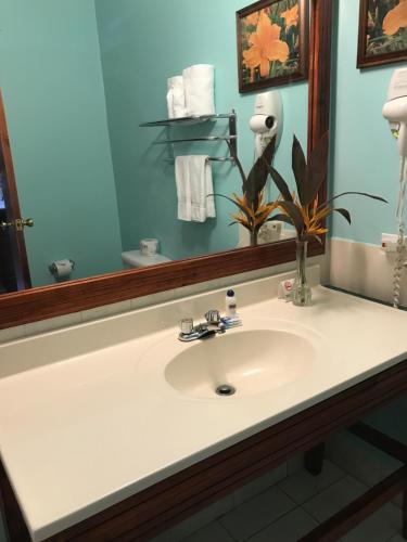 a bathroom with a sink and a mirror at Rayon Hotel in Negril