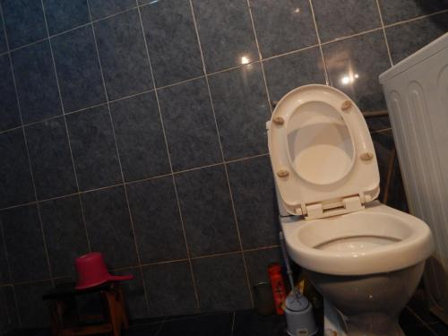 a bathroom with a toilet with the lid up at Nato Gesthouse in Uraveli in Akhaltsikhe