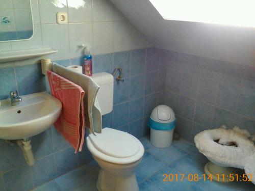 y baño con aseo y lavamanos. en Dobogókő vendégház, en Dobogoko
