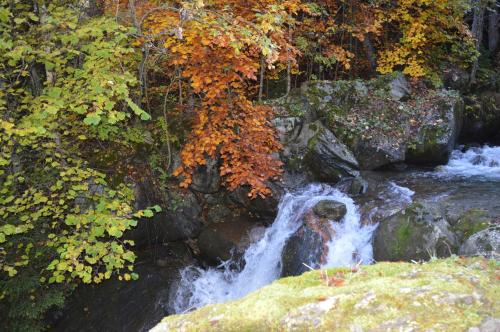 a stream of water with autumn leaves on the rocks at Clos du Pre - Chalet Chaleur in Oz