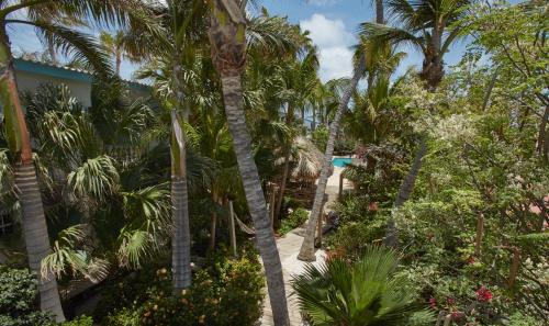 Taman di luar Paradera Park Aruba