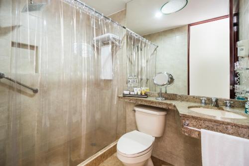 a bathroom with a toilet and a sink at Hotel Platinum Suite in Bogotá