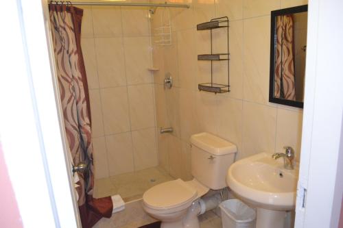 un bagno con doccia, WC e lavandino di Buccoo Reef View a Buccoo