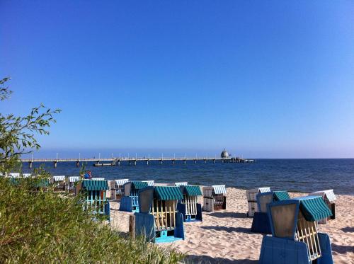 a row of beach chairs on a sandy beach with a pier at Haus Seeblick Hotel Garni & Ferienwohnungen in Zinnowitz